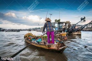 Tranh sông nước miền Tây 15746NT