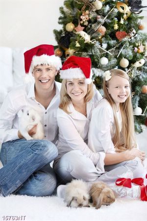 Tranh gia đình đón noel