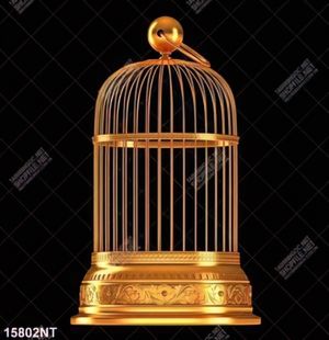 Tranh chiếc lồng màu vàng gold
