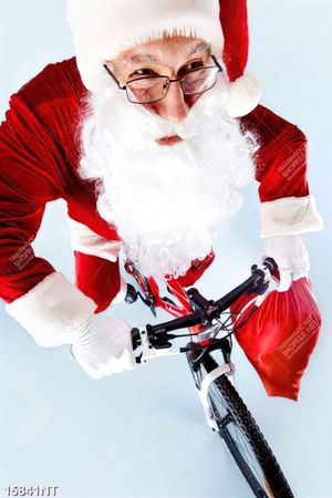 Tranh ông già noel 15842NT