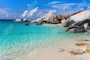 Tranh bãi biển xanh ngắt 