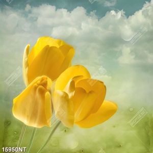 Tranh hoa tu líp vàng 15950NT