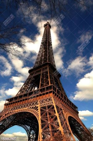 Tranh tháp Eiffel nước Pháp 15982NT