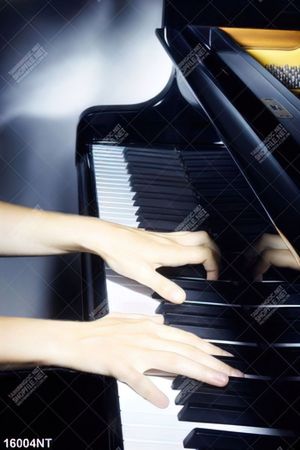 Tranh đánh đàn Piano