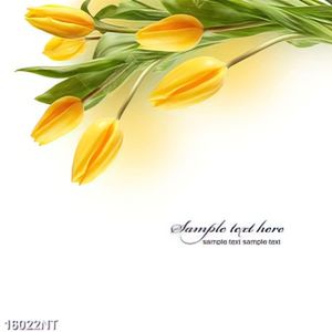 Tranh hoa tulip 16022NT