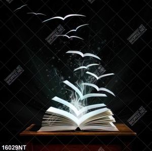 Tranh quyển sách thần kỳ 16029NT