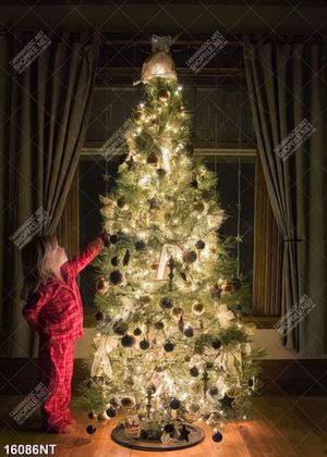 Tranh cây thông noel