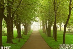 Tranh đi vào rừng sâu