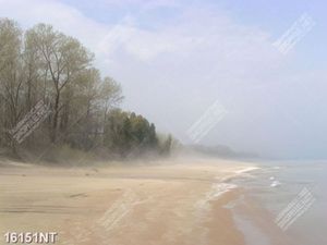 Tranh bãi biển hoang sơ