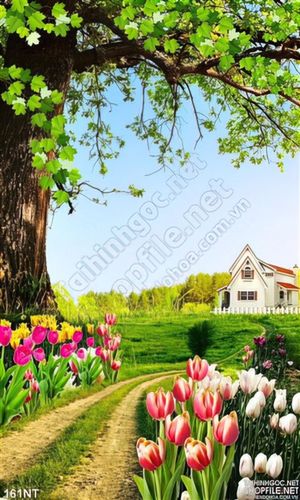 Tranh con đường hoa tulip và biệt thự