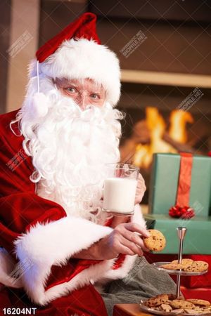 Tranh ông già noel 16204NT