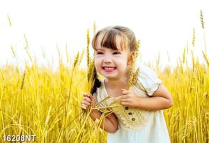 Tranh cô bé bên cánh đồng lúa mạch