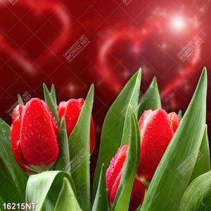 Tranh hoa tulip đỏ 16215NT
