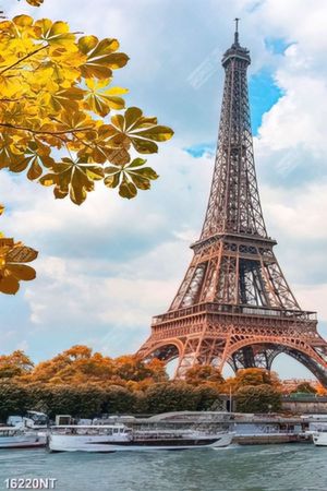 Tranh lá vàng bên tháp Eiffel file psd