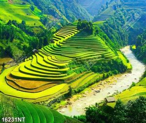 Tranh ruộng bậc thang 16231NT