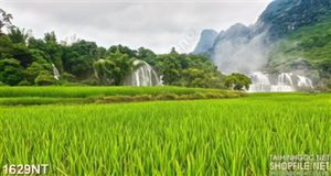 Tranh đồng cỏ bên thác nước