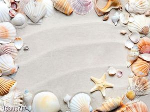 Tranh vỏ sò trên cát 