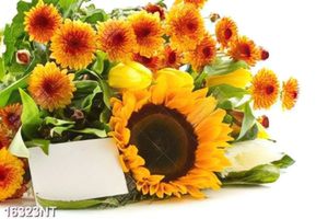 Tranh hoa nở đẹp 16323NT