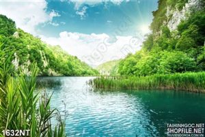 Tranh hồ nước bên vách núi