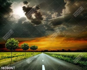 Tranh con đường dưới bầu trời nghệ thuật 