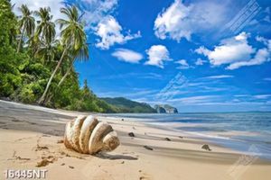 Tranh bãi biển đẹp 16445NT