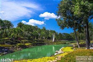Tranh tranh treo tường nhà