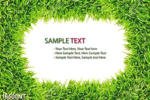 Tranh thảm cỏ xanh