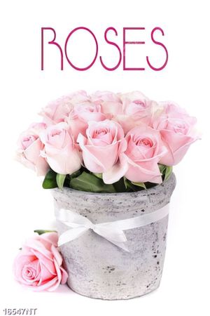 Tranh Roses
