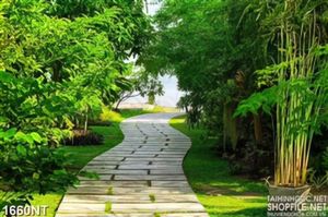 Tranh con đường giữa hàng cây