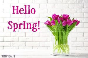 Tranh hello spring