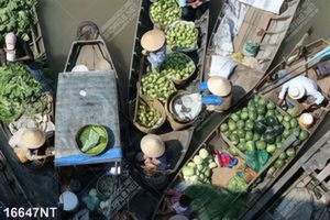 Tranh chợ nổi Cái Răng