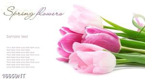Tranh spring flower