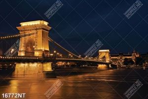 Tranh cây cầu sáng đèn đẹp lung linh