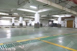 Tranh tầng hầm đậu xe