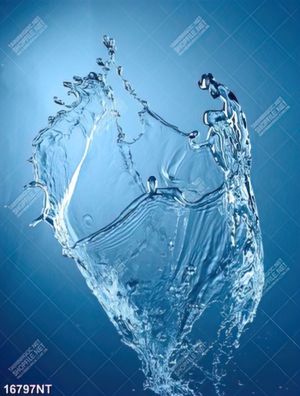 Tranh làn nước nghệ thuật 16797NT