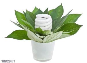 Tranh năng lượng xanh