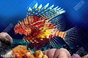 Tranh cá dưới lòng đại dương