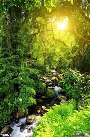 Tranh dòng suối trong rừng nghệ thuật