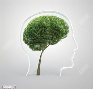 Tranh cây xanh nghệ thuật 16960NT