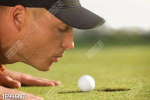Tranh sân golf