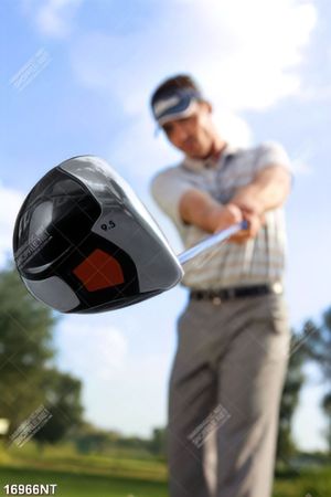 Tranh chơi golf