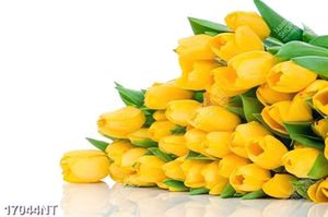 Tranh hoa tulip vàng