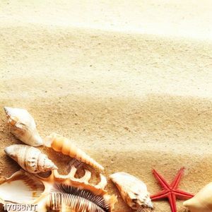 Tranh vỏ sò trên cát
