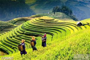 Tranh lên đồng in uv
