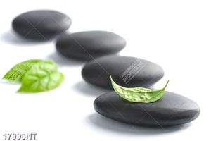 Tranh nghệ thuật đẹp nhất