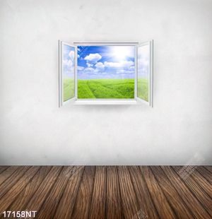 Tranh nghệ thuật in canvas chất lượng cao