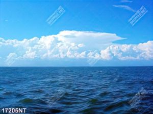 Tranh nghệ thuật đẹp nhất