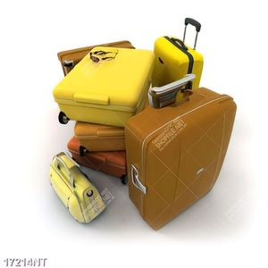 Tranh đẹp treo tường