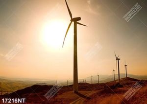 Tranh treo tường trang trí nghệ thuật