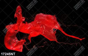 Tranh nghệ thuật trang trí tường